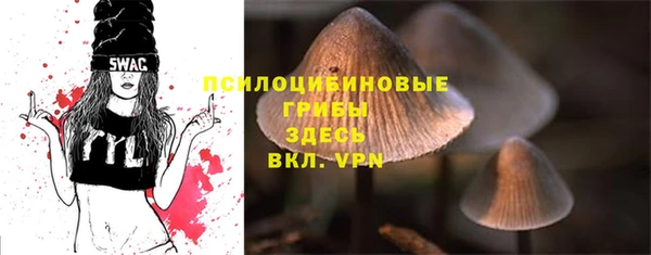 трава Зеленокумск