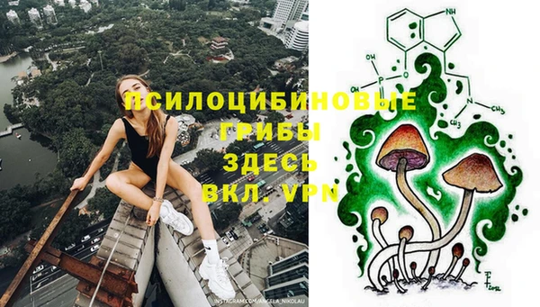 скорость Зеленодольск