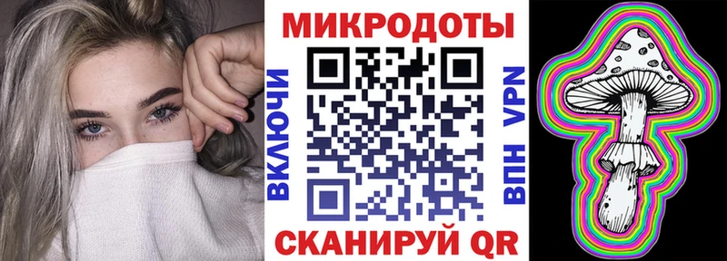 Купить где  Новосиль  Псилоцибиновые грибы Psilocybine cubensis 